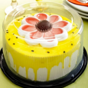 G 50CT PARATORTA PEQUENOUENA             (CX COM050) em Pinhalzinho SP