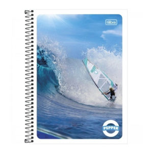 CADERNO 01X1 ESPIR C.FLEX 096F (12325) em Pinhalzinho SP