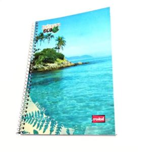 CADERNO  1/4 ESPIR C.FLEX 048F CREDEAL em Pinhalzinho SP