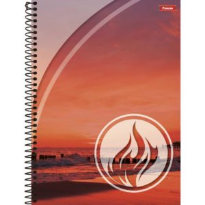 CADERNO ESPIRAL 1/4 CApa DURA QUATRO ELEMENTOS 80FLS  - FORONI em Pinhalzinho SP
