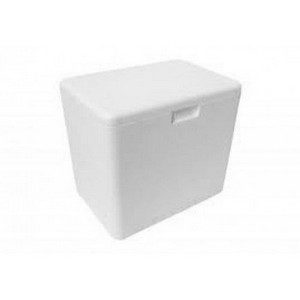 CAIXA DE ISOPOR  02 LTS em Pinhalzinho SP