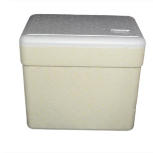 CAIXA DE ISOPOR   13 LTS 334X241X285 COMpaRALARG/ALT em Pinhalzinho SP