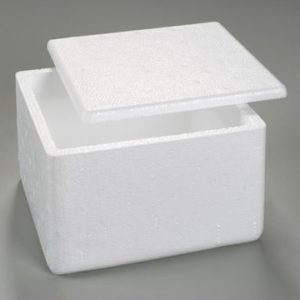 CAIXA DE ISOPOR M TAMPA em Pinhalzinho SP