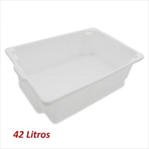 CAIXA FRIGORIFICA 42 LTS  PLASNEW em Pinhalzinho SP