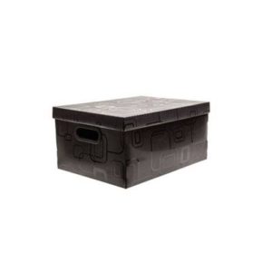 CAIXA ORGANIZ N.2-PEQUENOUE PR DELLO (56106)