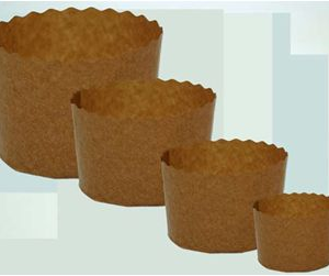 FORMA PARA paNETTONE 1000G (PCT COM050)