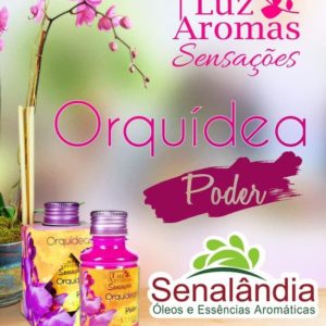SENALÂNDIA - AROMATIZANTE LUZ E AROMAS ORQUIDEAS 100ML em Pinhalzinho SP